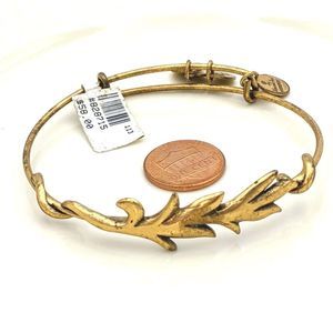 Alex and Ani Rafaleian Gold Air Element Bracelet